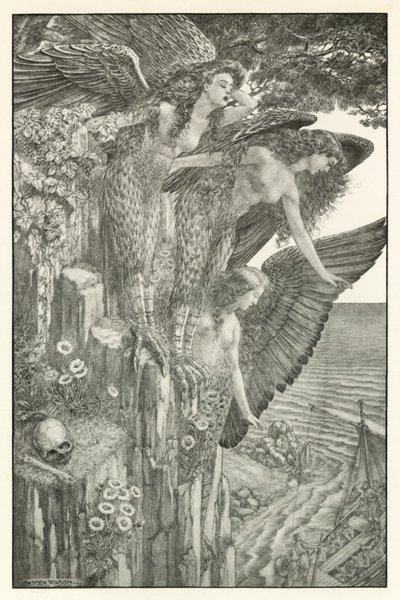  by Patten (after) Wilson