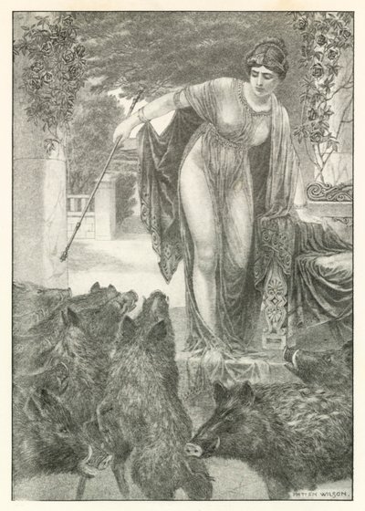  by Patten (after) Wilson