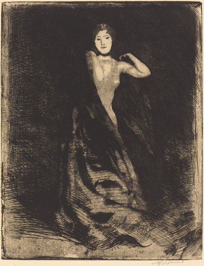Kadın cephesi, c. 1886. by Paul Albert Besnard