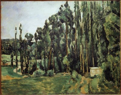 Kavak - tuval üzerine yağlıboya by Paul Cézanne
