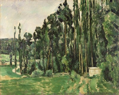 Kavaklar, c.1879-82 (tuval üzerine yağlı boya) by Paul Cézanne