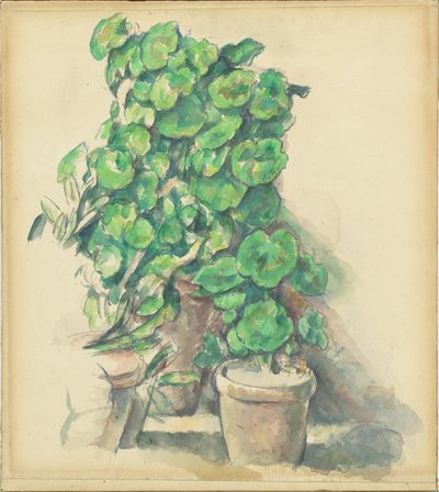 sardunyalar by Paul Cézanne