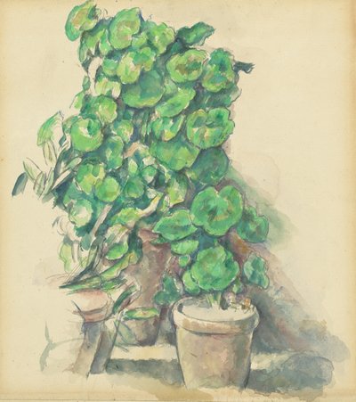Sardunyalar, 18881890. by Paul Cézanne