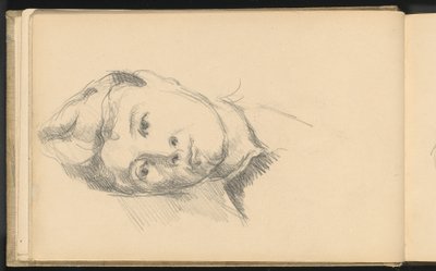 Madam Cezanne by Paul Cézanne