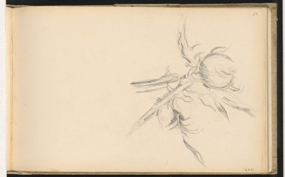 devedikeni by Paul Cézanne