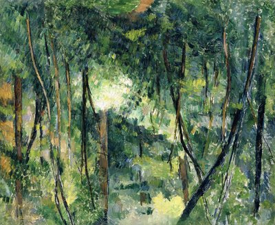 Çalılık, c.1885 by Paul Cézanne