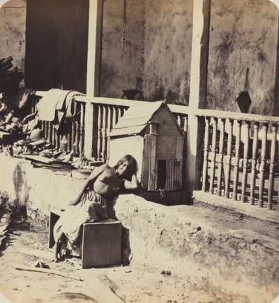 Garvel Martinik köpeği, 1870
