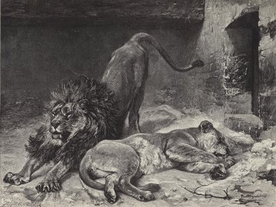 Aslan