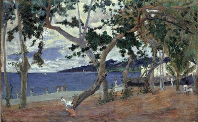 Deniz kıyısında, Martinique par Gauguin, Paul Eugene Henri (1848-1903). Tuval üzerine yağlı boya, ebat : 54x90 by Paul Gauguin