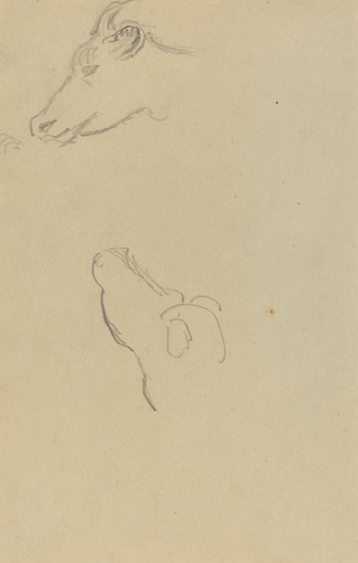 İnek Başı [rekto] by Paul Gauguin
