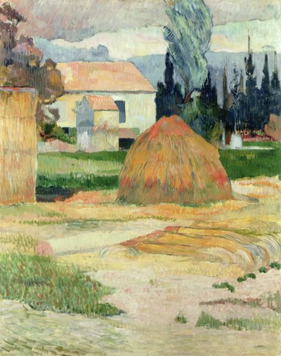 Arles yakınlarındaki manzara by Paul Gauguin