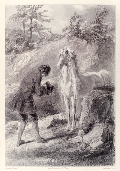 At durdu ve bana baktı, Jonathan Swift