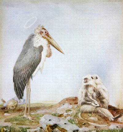 Kutsal Marabou (kağıt üzerine suluboya ve kurşun kalem) by Paul Grabwinkler
