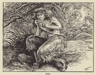Tava by Paul Hardy