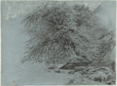 Tam Yapraklı Yabani Kayın by Paul Huet