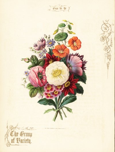 Beyaz gül, dahlia, nasturtium, auricula buketi. by Paul Jerrard