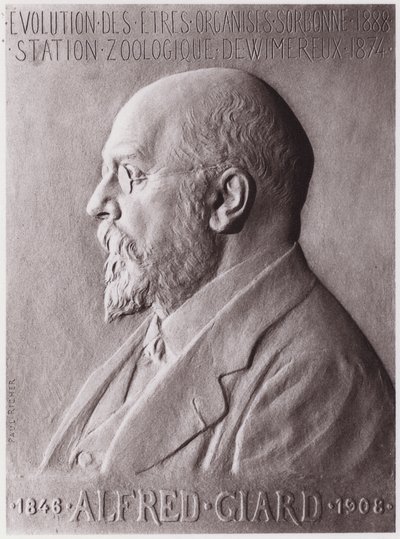 Alfred Giard (1846-1908), zoolog, portre (taş) by Paul Marie Louis Pierre Richer