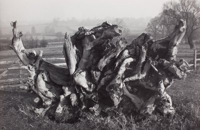  by Paul Nash