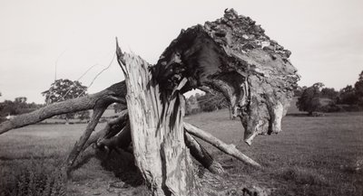  by Paul Nash