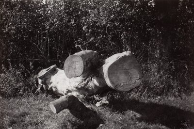  by Paul Nash