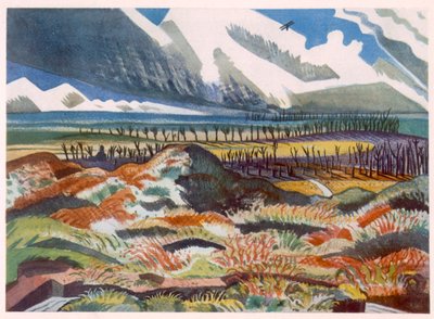 Harap Ülke, Vimy, Cephedeki İngiliz Sanatçılardan, Batı Cephesinin Devamı, Bölüm Üç, Paul Nash by Paul Nash