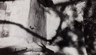  by Paul Nash