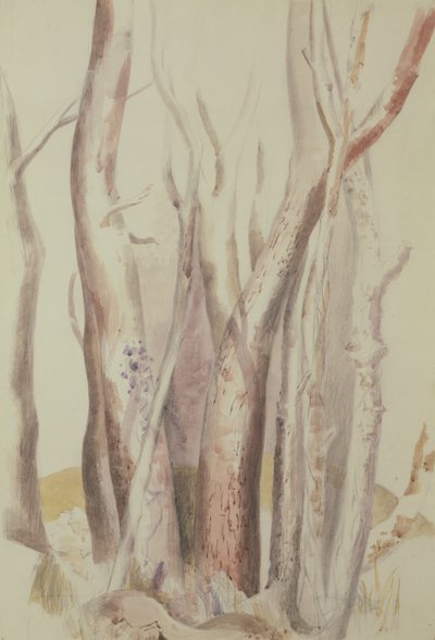 Ormanlık Peyzaj Çalışması by Paul Nash