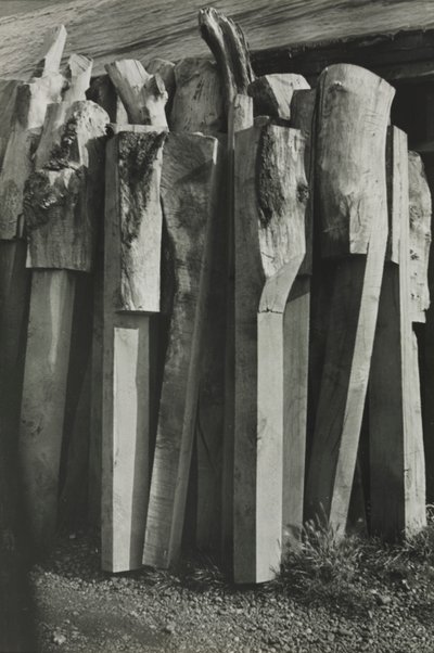 Totemler, Eski Tersane, Çavdar by Paul Nash
