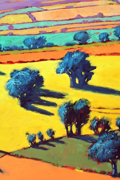 Cotswold Way yakın çekim 2 (gemide akrilik) by Paul Powis