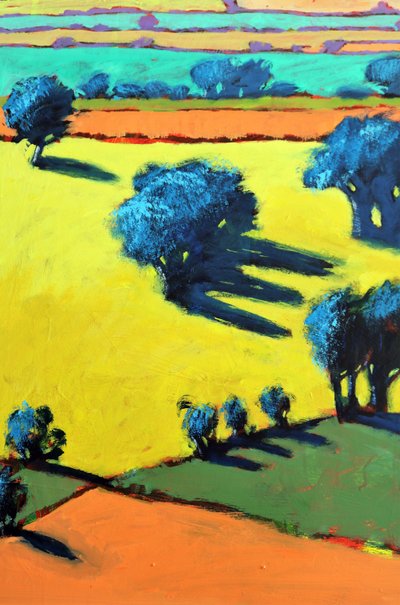 Cotswold Way yakın çekim 4 (gemide akrilik) by Paul Powis