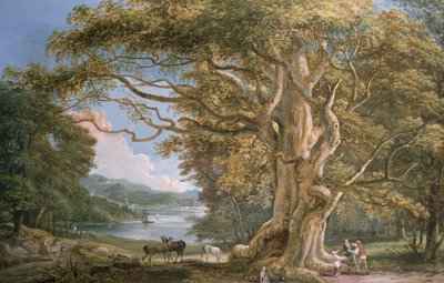 Kadim Kayın Ağacı by Paul Sandby