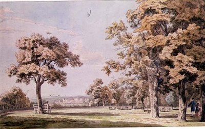 Windsor Kalesi: Büyük Park