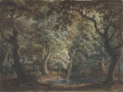 Windsor Büyük Parkı, 1790-99. by Paul Sandby