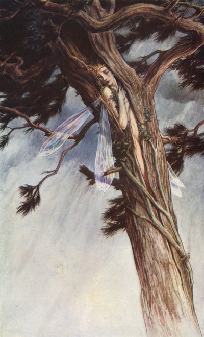 Fırtına, William Shakespeare, I. Perde, 2. Sahne (renkli taş) by Paul Vincent Woodroffe