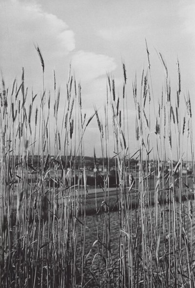 Bavyera kırsalında (siyah-beyaz fotoğraf) by Paul Wolff