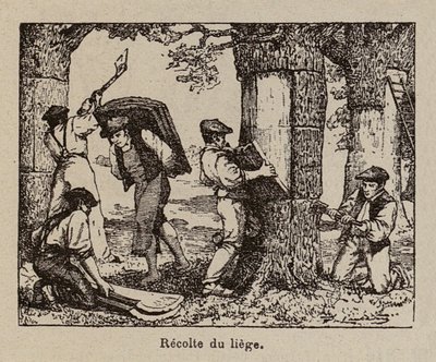  by Paul de Laubadere