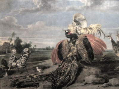  by Paul De Vos