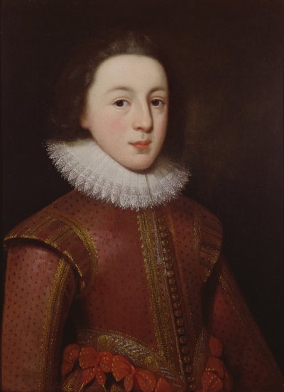 Galler Prensi Henry