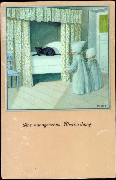 Hoş olmayan bir sürpriz by Pauli Ebner
