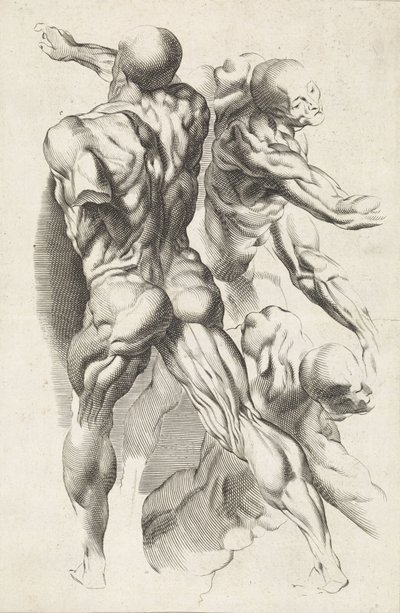 Uzanmış kolları olan üç figürün anatomik çalışması Peter Paul Rubens'in çizim kitabı (seri başlığı) by Paulus Pontius