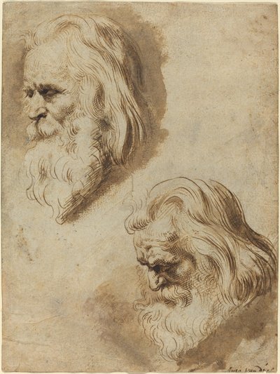 Yaşlı Bir Adamın Kafasına İlişkin İki Çalışma by Paulus Pontius after Sir Peter Paul Rubens