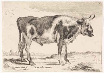 benekli öküz Öküz ve İnekler (dizi adı) by Paulus Potter (rejected attribution)