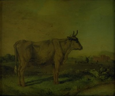 Bir inek by Paulus Potter