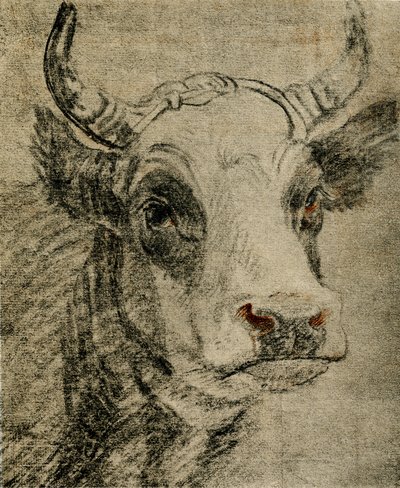 Hayvan çalışması by Paulus Potter