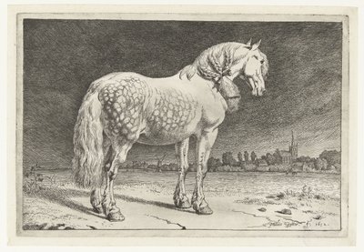 Frizyalı at Atlar (dizi adı) by Paulus Potter