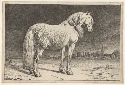 Frizyalı at Atlar (dizi adı) by Paulus Potter