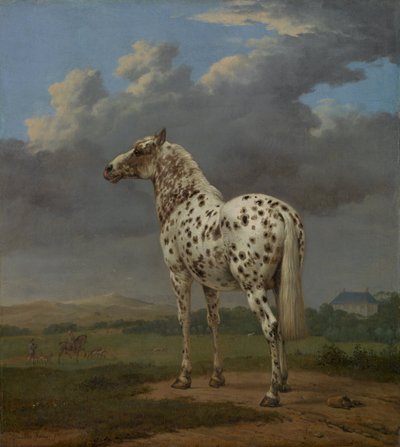 Benekli At, yaklaşık 1654 by Paulus Potter