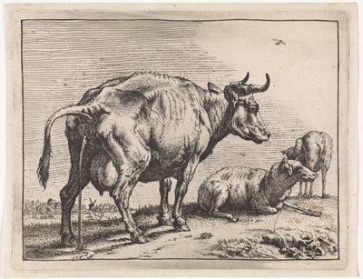 İşeyen inek Het Bullenboekje (dizi başlığı) by Paulus Potter