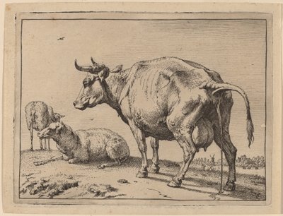 işeyen inek by Paulus Potter