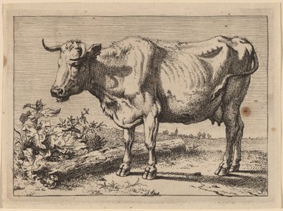 Ayakta İnek (Boynuz Bükülmüş İnek) by Paulus Potter